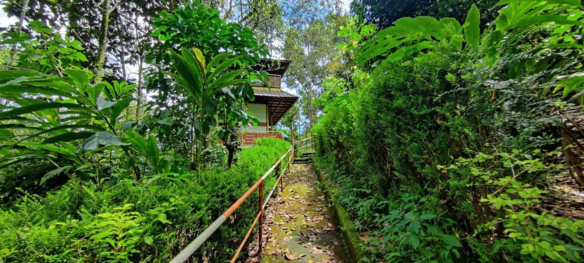 蒙纳 Chalona Hill View酒店 外观 照片