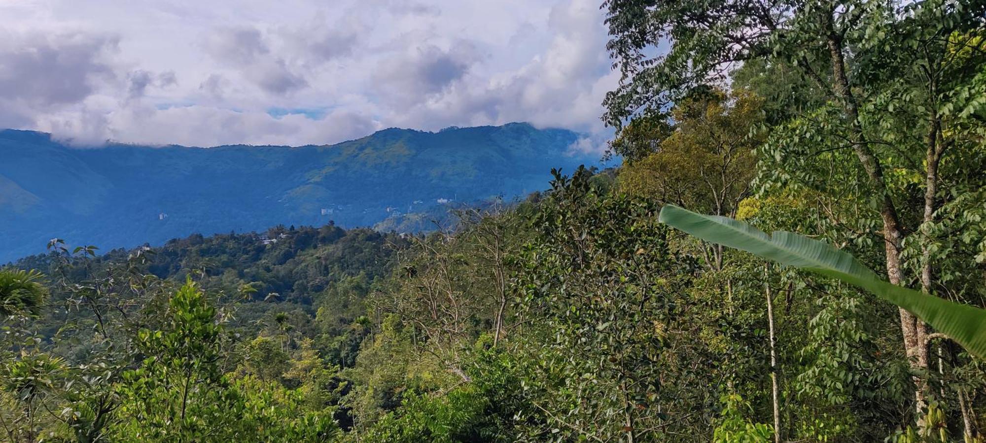 蒙纳 Chalona Hill View酒店 外观 照片