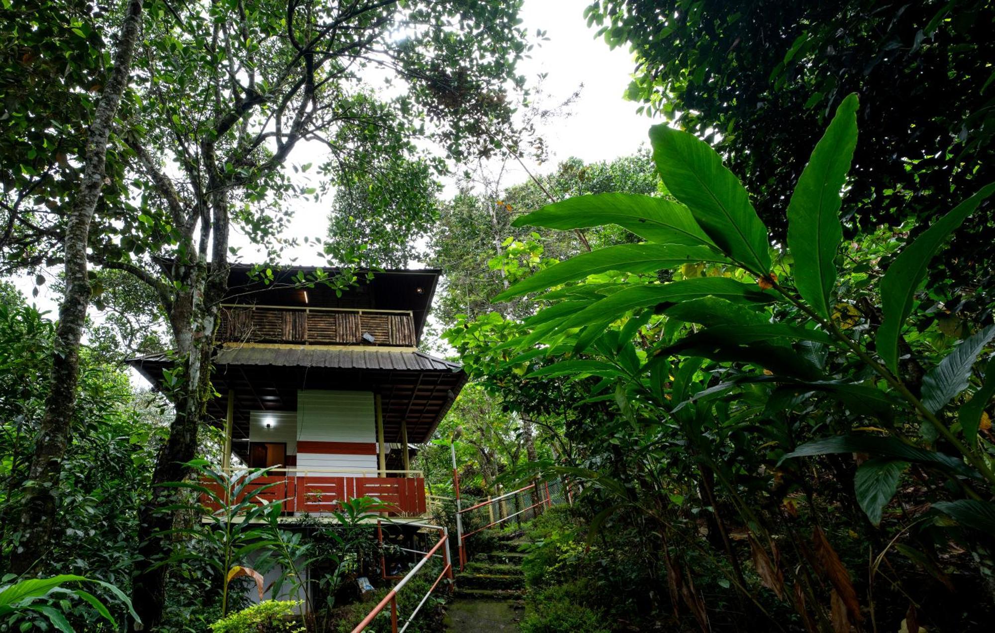 蒙纳 Chalona Hill View酒店 外观 照片